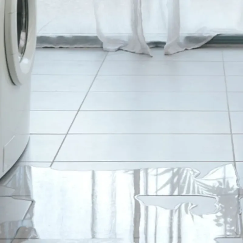 Appliance Leak Cleanup in Louisburg, NC