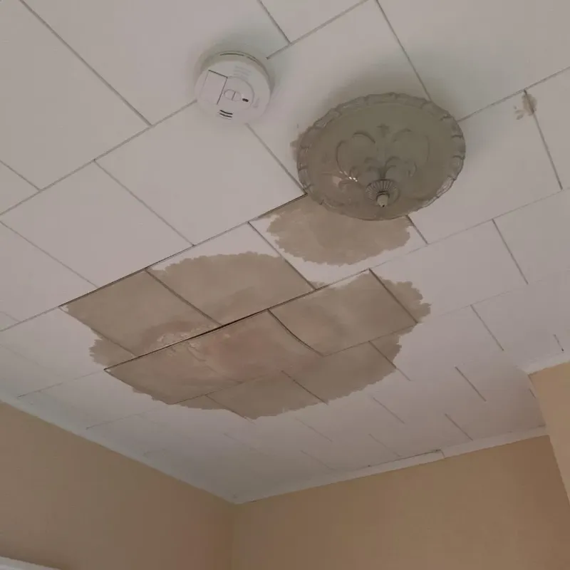 Ceiling Water Damage Repair in Louisburg, NC