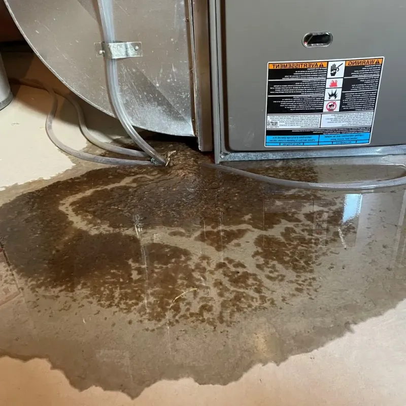 Pipe Burst and Leak Restoration in Louisburg, NC