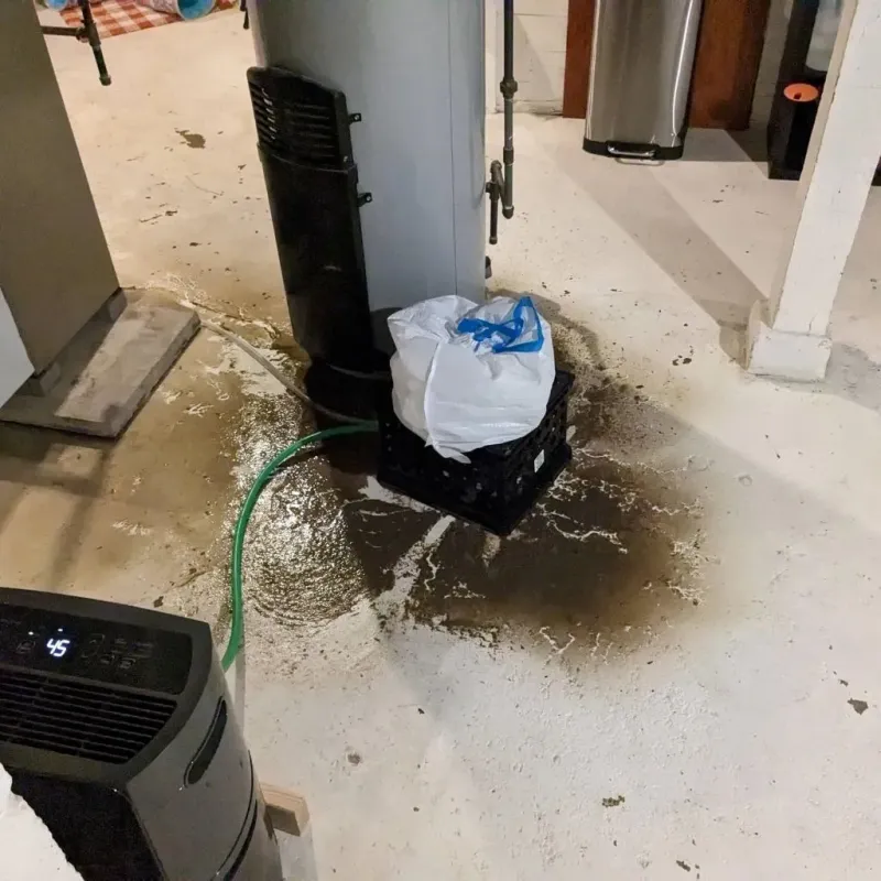 Sewage Backup Cleanup Service in Louisburg, NC